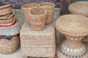 Water Hyacinth Emerges as Income Resource