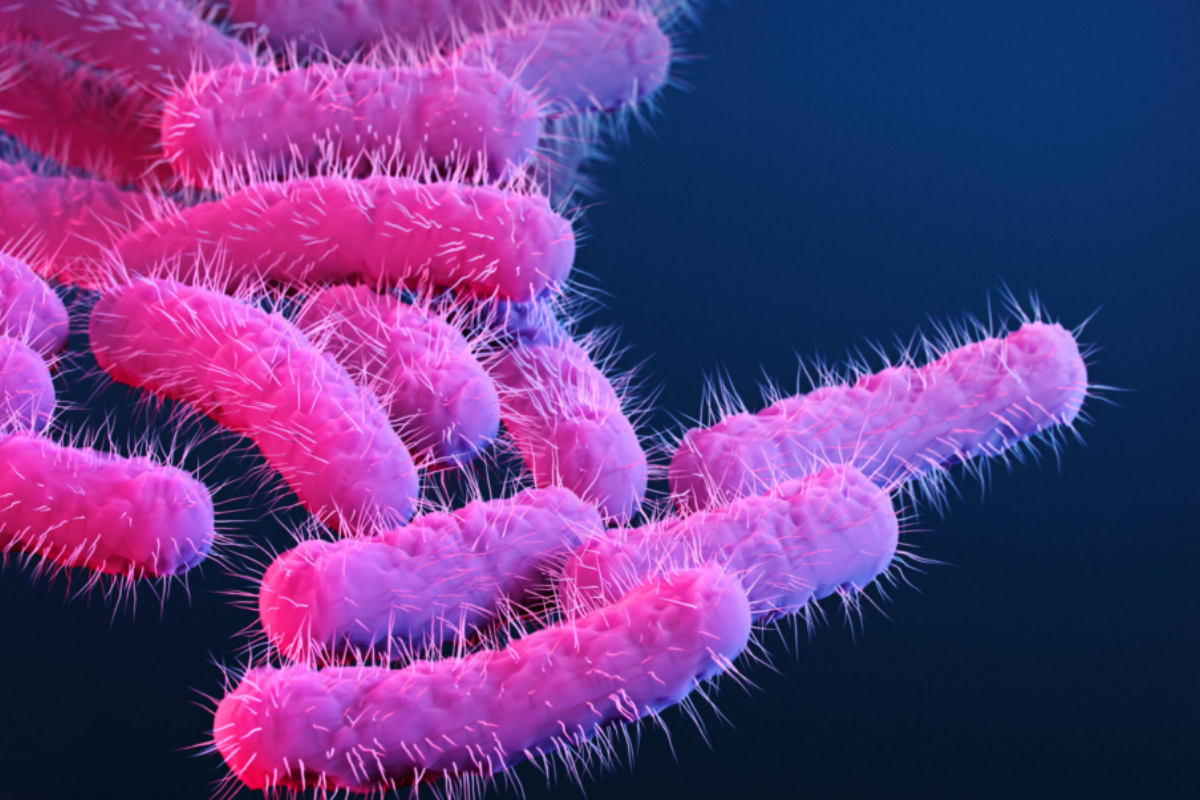 WHO Warns of Alarming Surge in Drug-Resistant Superbugs