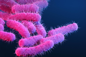 WHO Warns of Alarming Surge in Drug-Resistant Superbugs