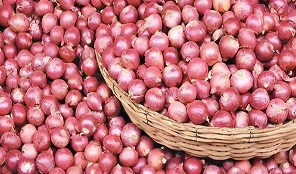 why onion prices spike in december market insights Why Onion Prices Spike in December: Market Insights