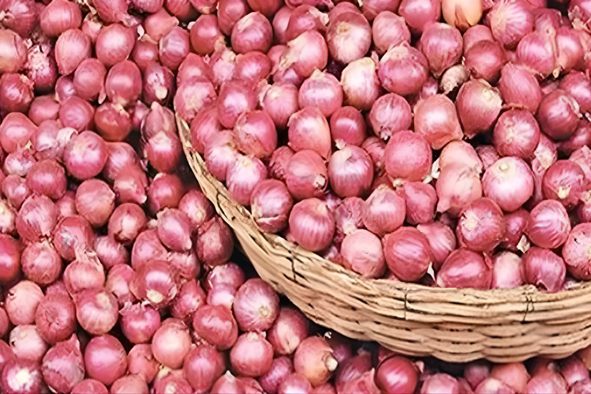 Why Onion Prices Spike in December: Market Insights