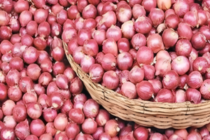 Why Onion Prices Spike in December: Market Insights