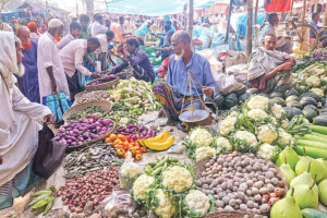 Winter Vegetables Arrive in Markets but Prices Remain High
