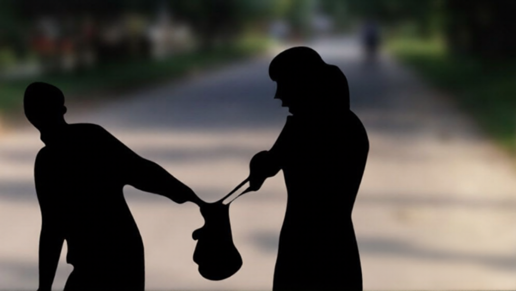 woman dies after bag snatched from private car Woman Dies After Bag Snatched From Private Car