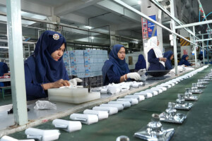 Women Transforming Habiganj’s Economy