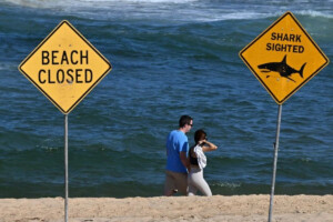 Young Woman Killed in Shark Attack in Australia, Another Seriously Injured