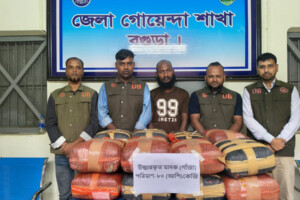 80kg Cannabis Seized in Bogura