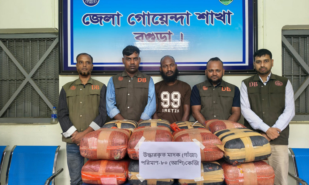 80kg Cannabis Seized in Bogura