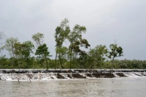 Call for Urgent Climate Insurance in Coastal Bangladesh