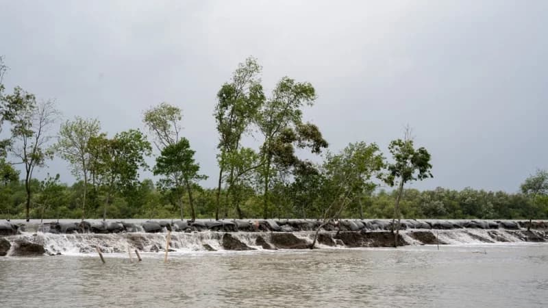 Call for Urgent Climate Insurance in Coastal Bangladesh