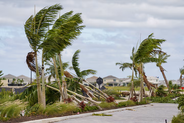 Cat Bond Pricing Falls 25% on Renewals