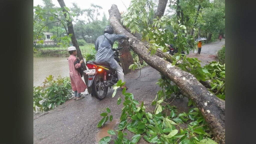 Comilla Devastated as Storm Damages 1,733 Hectares of Crops
