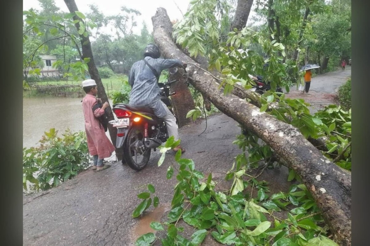Comilla Devastated as Storm Damages 1,733 Hectares of Crops