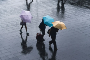 Global Disaster Risks Strain Public-Private Insurance Models