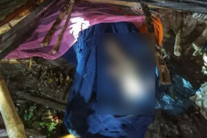 Pregnant Woman Killed by Storm-Felled Tree