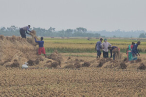 Rising Costs Deepen Farmers’ Struggles