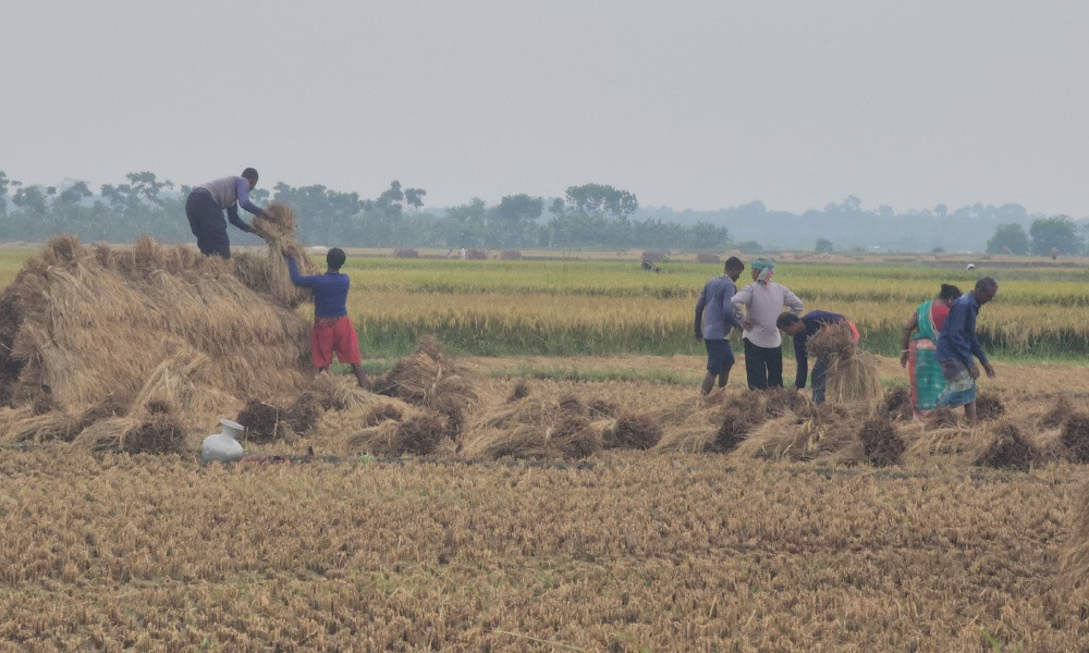 Rising Costs Deepen Farmers’ Struggles