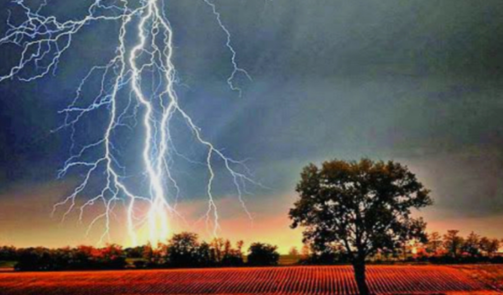 Severe Thunderstorms and Lightning Strikes Claim Thirteen Lives Across Seven Districts Severe Thunderstorms and Lightning Strikes Claim Thirteen Lives Across Seven Districts