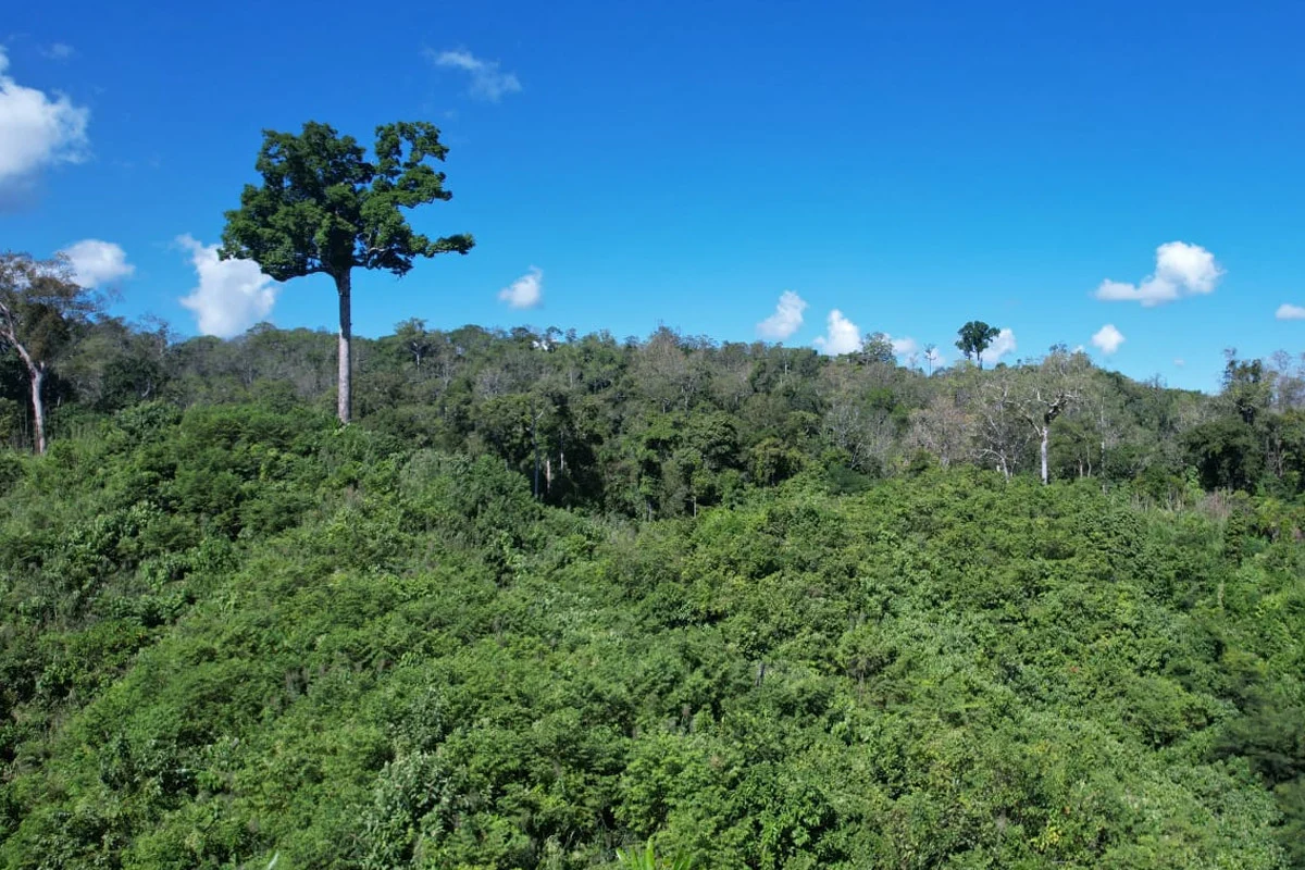 Six Rubber Plantation Workers Abducted in Bandarban