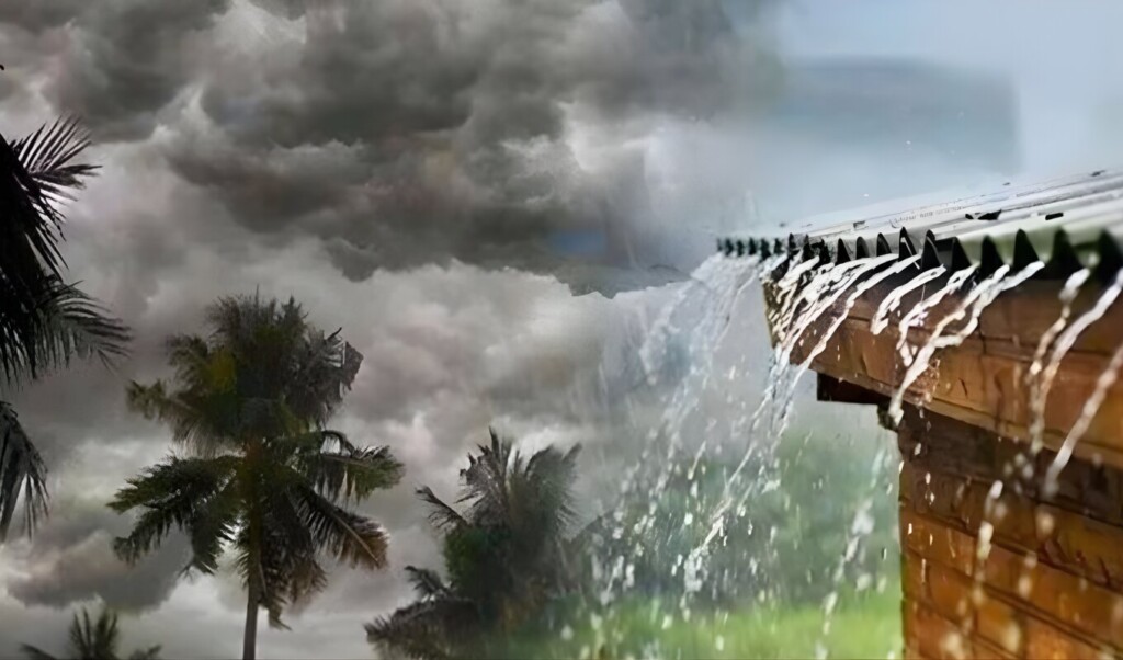Storm Alerts Issued Across Key Districts 1 Storm Alerts Issued Across Key Districts