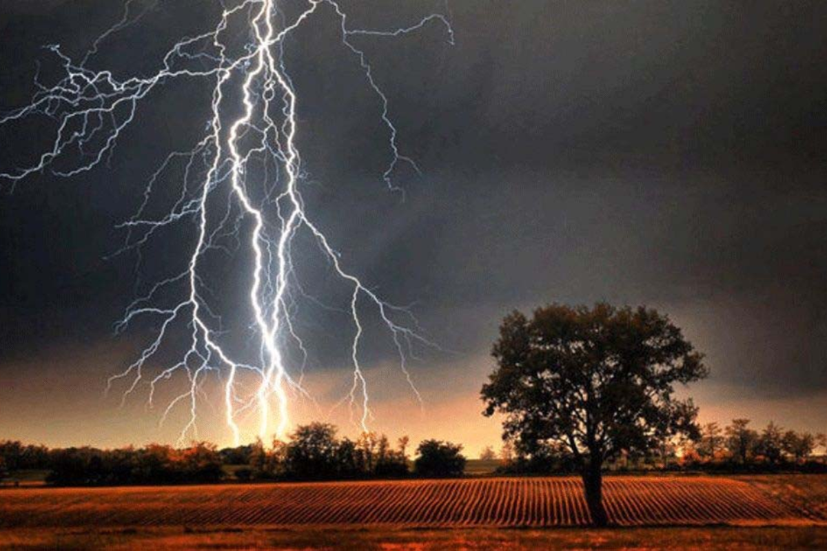 Surge in Lightning Fatalities as Nationwide Nor’wester Alerts Issued