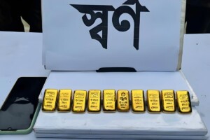 Ten Gold Bars Seized