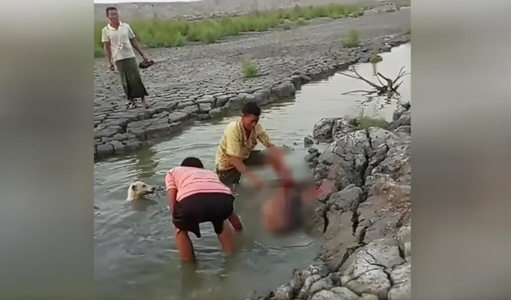 Viral Deer Killing Sparks Outrage Viral Deer Killing Sparks Outrage