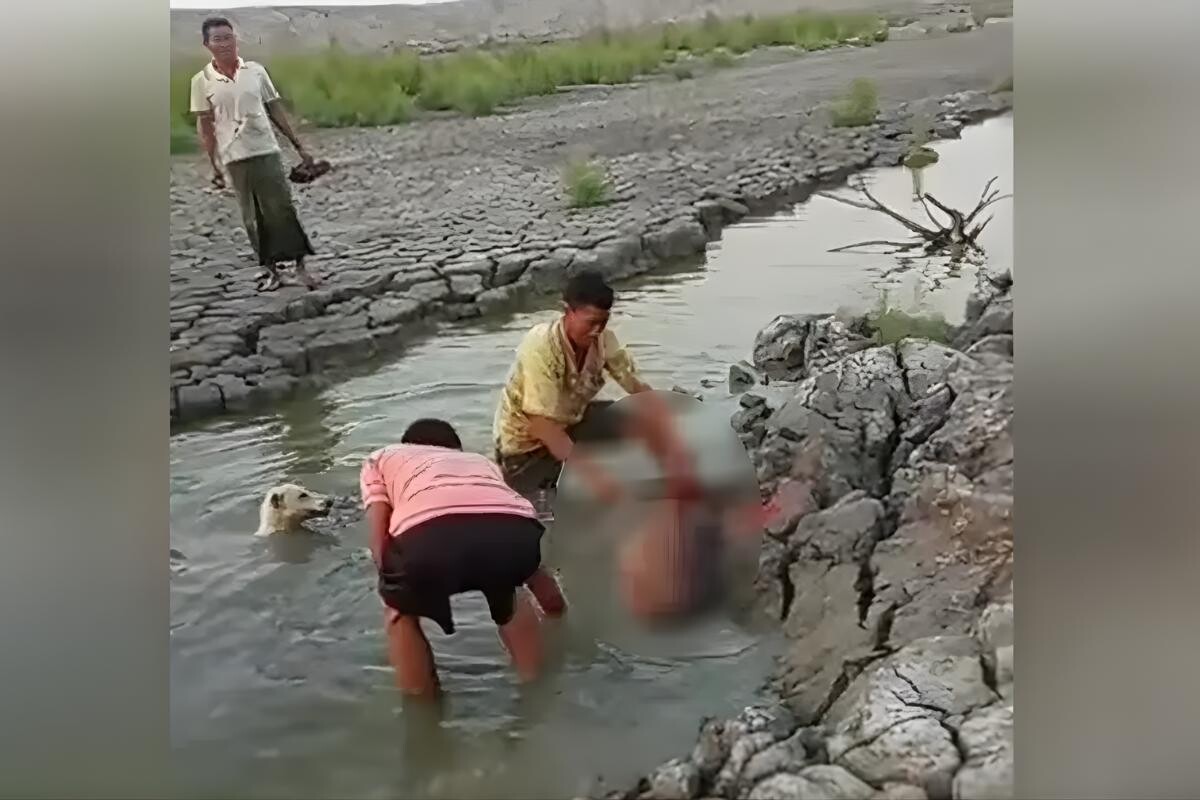 Viral Deer Killing Sparks Outrage