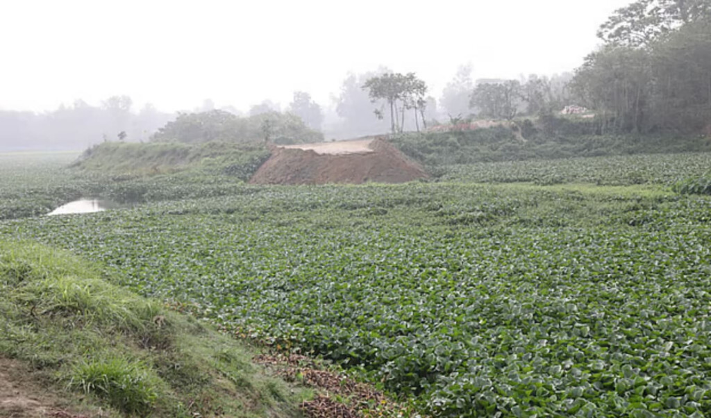 government launches new initiative to revive karotoa river Government Launches New Initiative to Revive Karotoa River