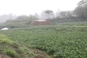 Government Launches New Initiative to Revive Karotoa River