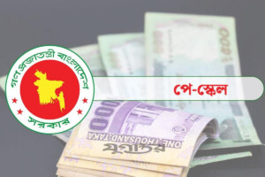 Government Pay Scale Protest Announced