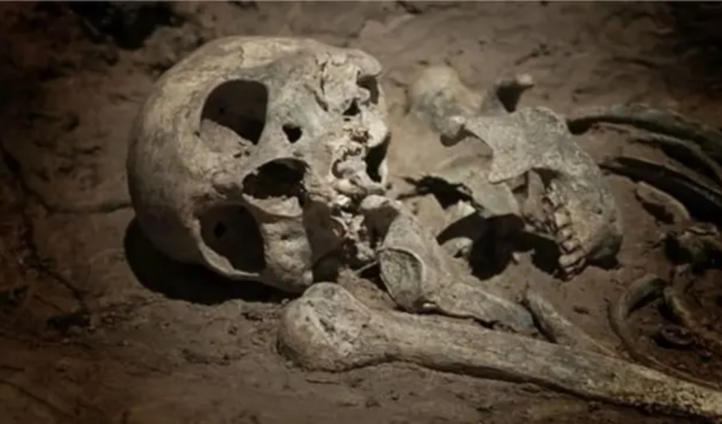 human skeleton found in garbage dump in gazipur area Human Skeleton Found in Garbage Dump in Gazipur Area