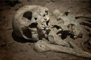 Human Skeleton Found in Garbage Dump in Gazipur Area