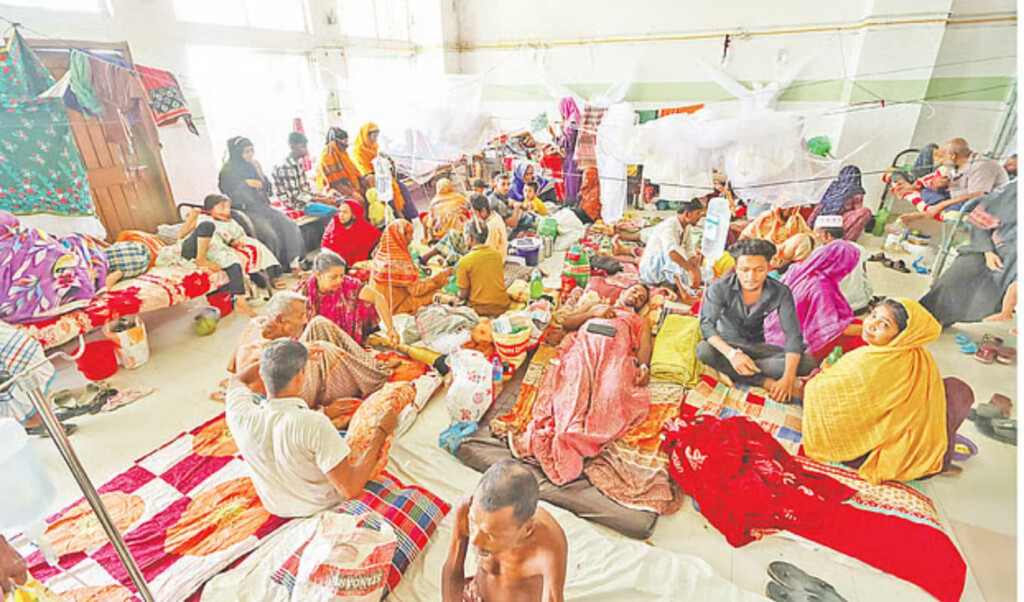 mosquito borne diseases escalate across bangladesh Mosquito-Borne Diseases Escalate Across Bangladesh