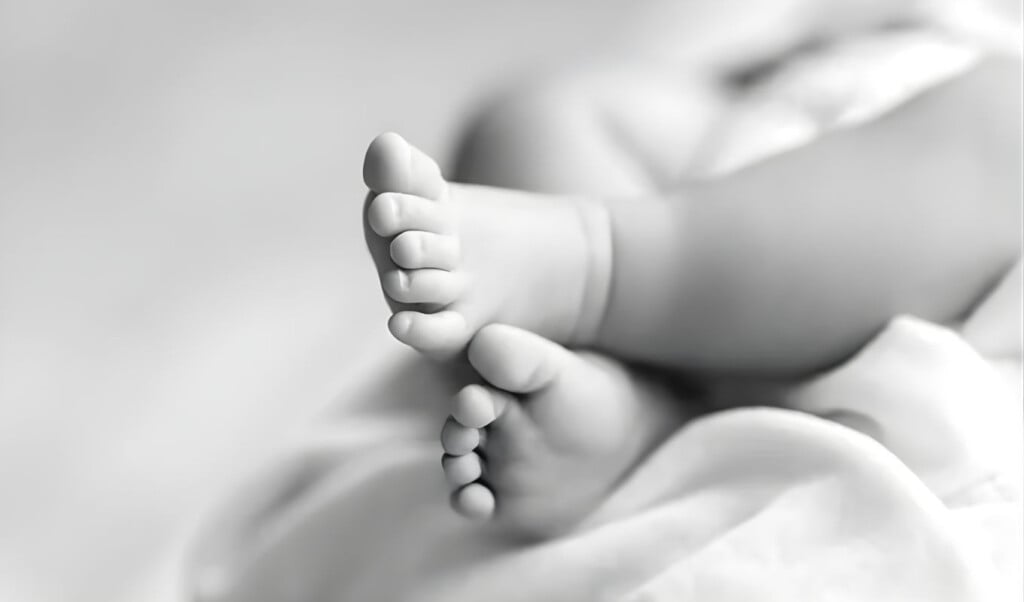 newborn found in cemetery carton Newborn Found in Cemetery Carton
