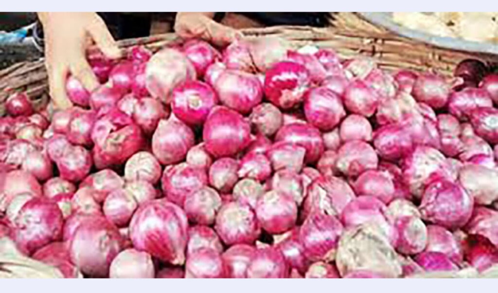 onion crisis deepens as farmers sell at loss Onion Crisis Deepens as Farmers Sell at Loss
