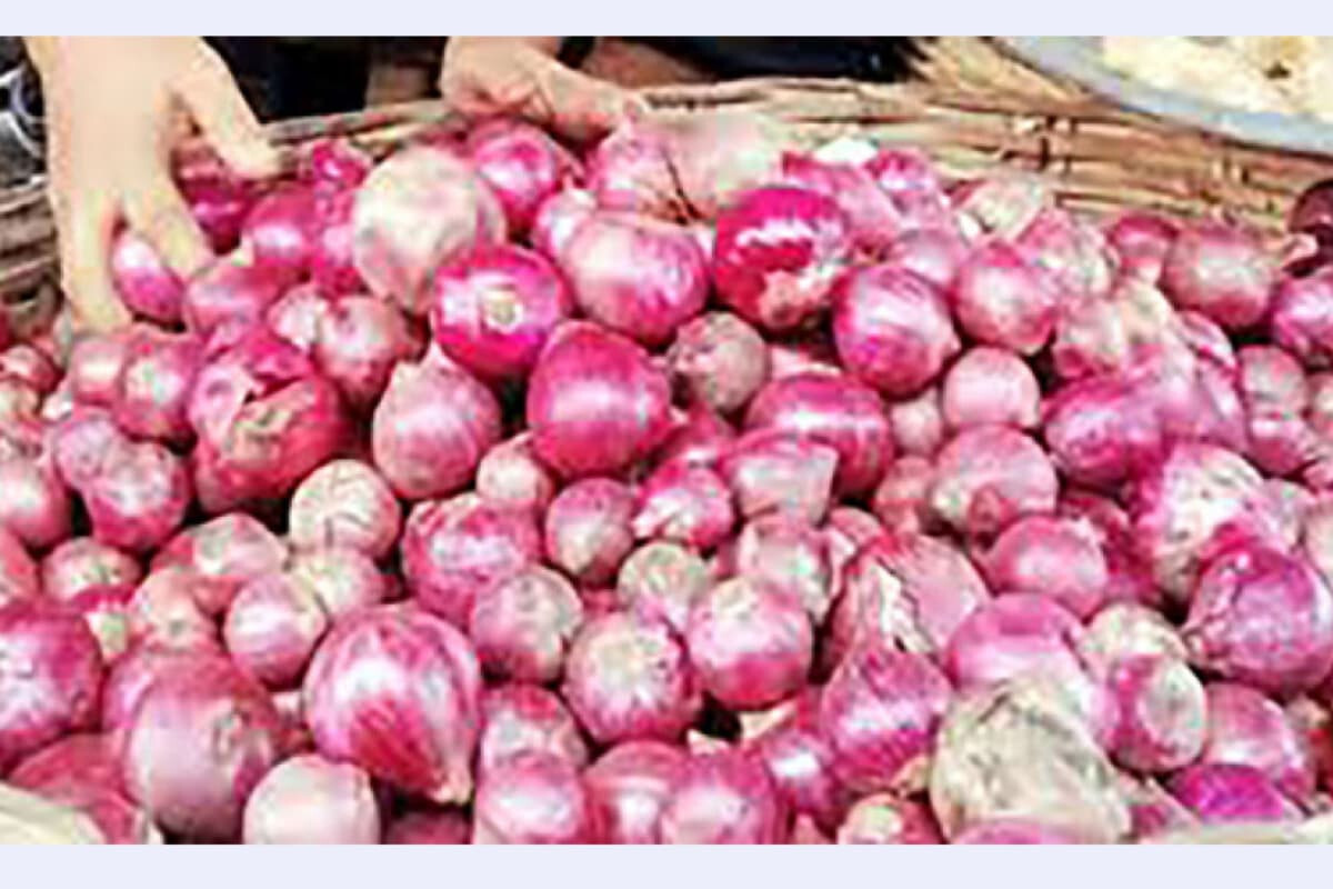 Onion Crisis Deepens as Farmers Sell at Loss