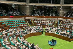 Parliamentary Approval Delayed for 20 Ordinances Including Referendum Bill