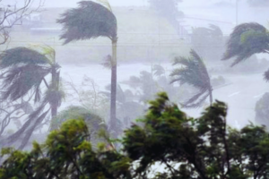 Storm Warning Across 19 Districts