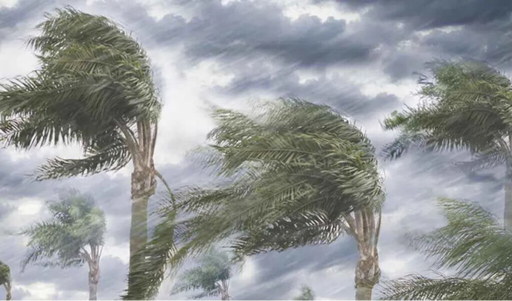storms and hail expected heatwave likely to ease Storms and Hail Expected, Heatwave Likely to Ease