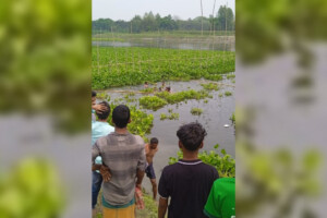 Young Man and Woman Drown in River