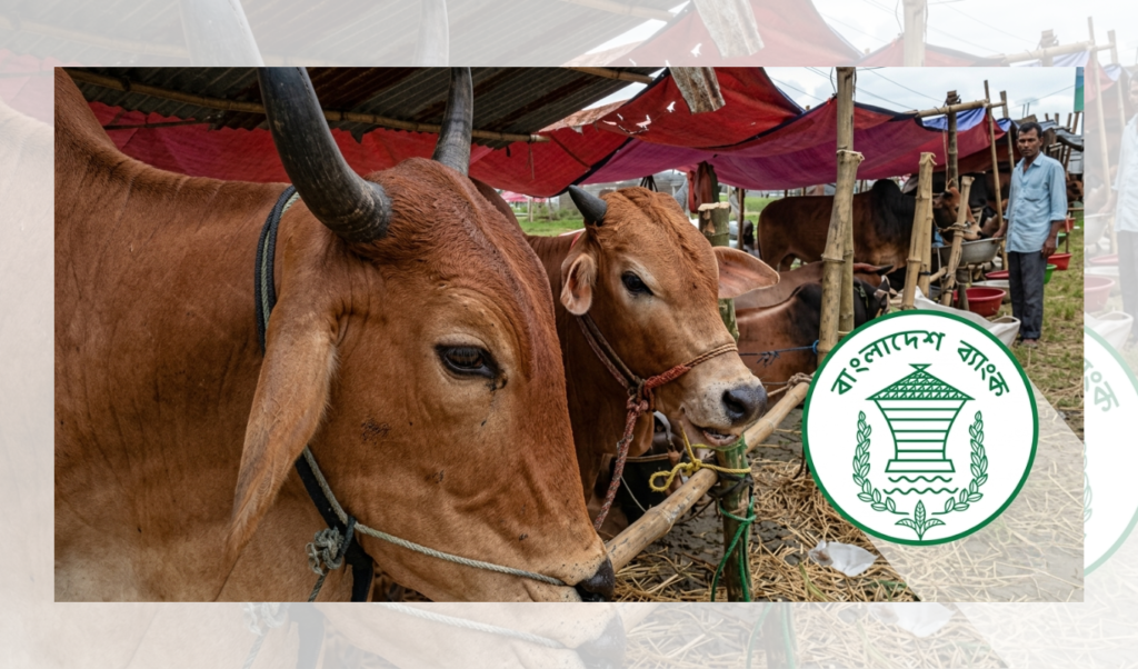 Central Bank Extends Cattle Market Banking Hours Central Bank Extends Cattle Market Banking Hours