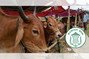 Central Bank Extends Cattle Market Banking Hours