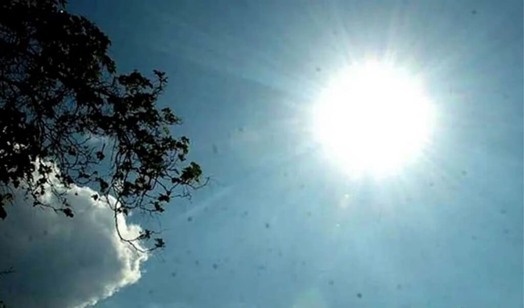 Dhaka Short-Range Forecast Signals Marginal Temperature Decline