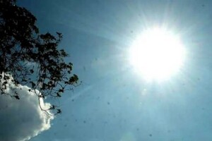 Dhaka Short-Range Forecast Signals Marginal Temperature Decline