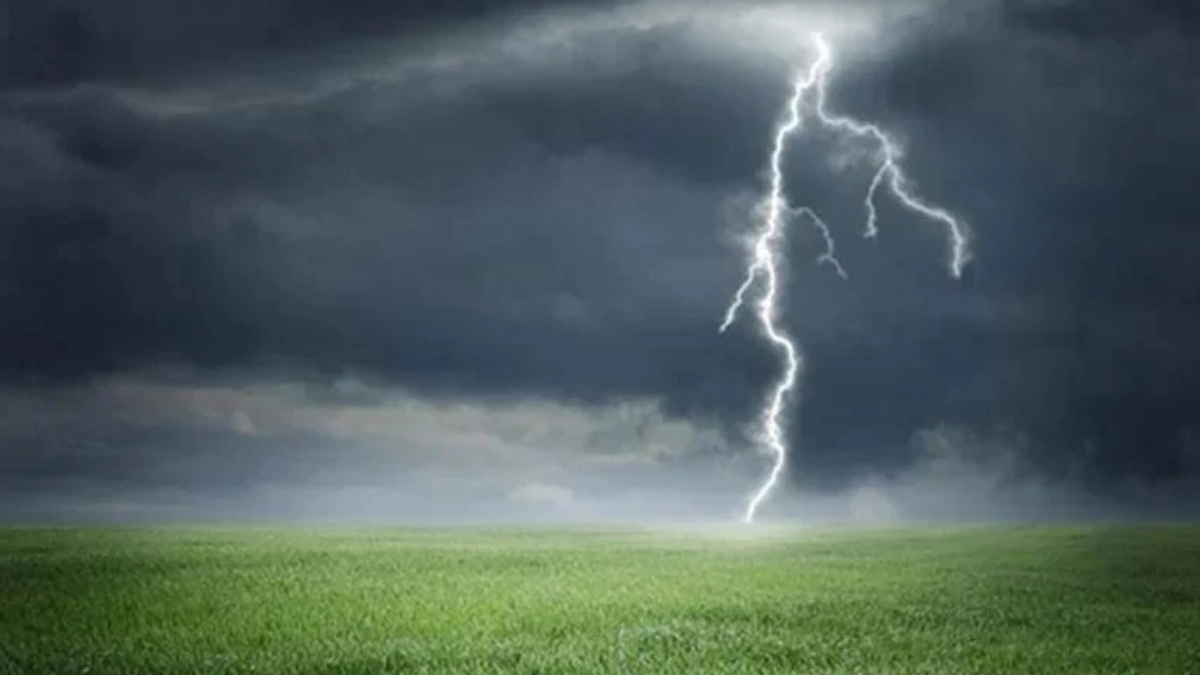 Duck Farmer Fatally Struck by Lightning in Sunamganj