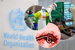 Ebola Outbreak Prompts Public Health Emergency Declaration