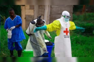 Ebola Suspected Cases Exceed 900 in DR Congo