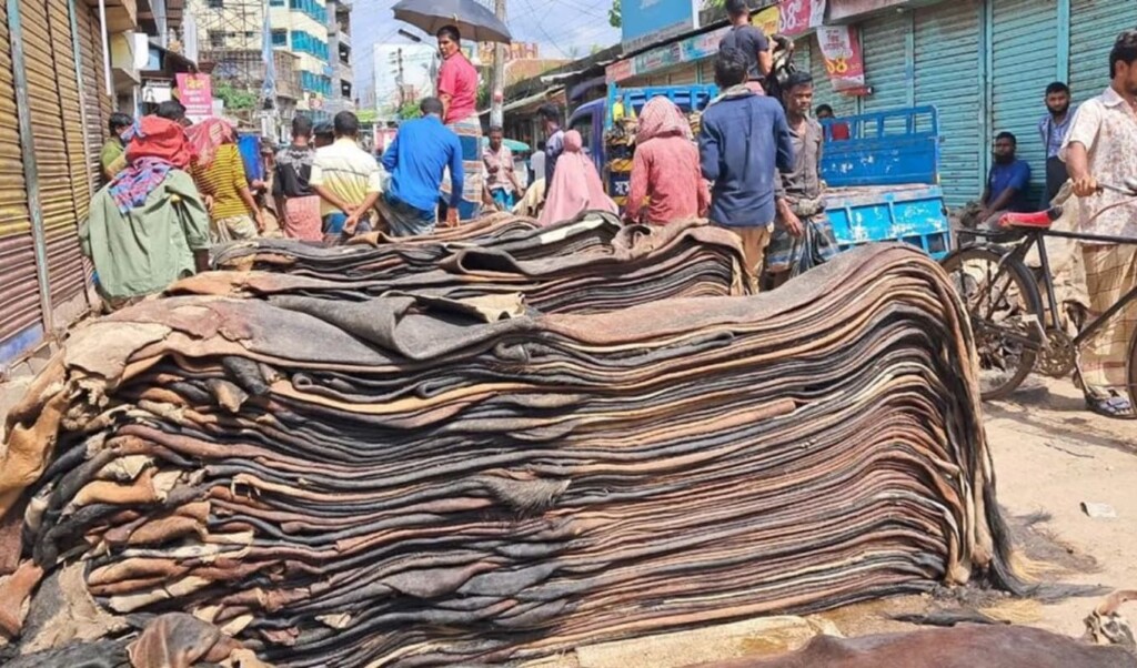Government Announces New Cattle Hide Policy