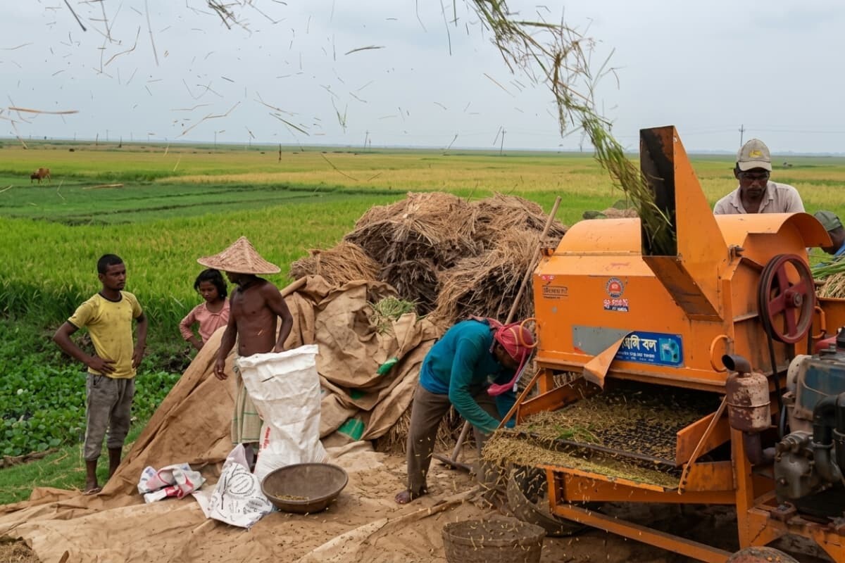 Government`s Paddy Procurement Rules Burden Farmers